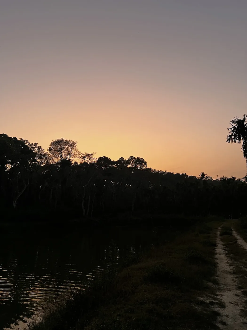The estate track at dusk under a pink sky