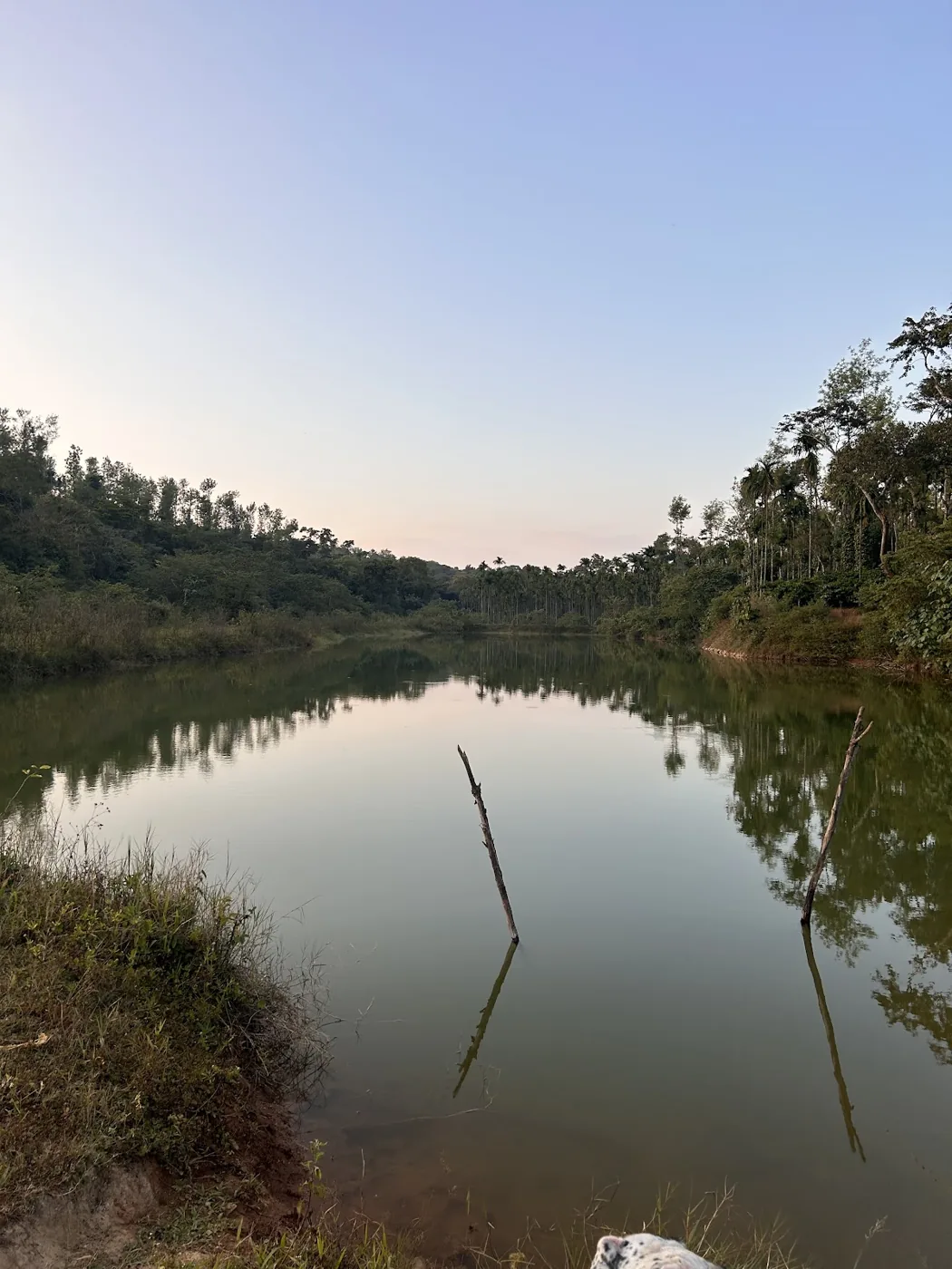 One of the estate's water bodies holding the last light of the evening