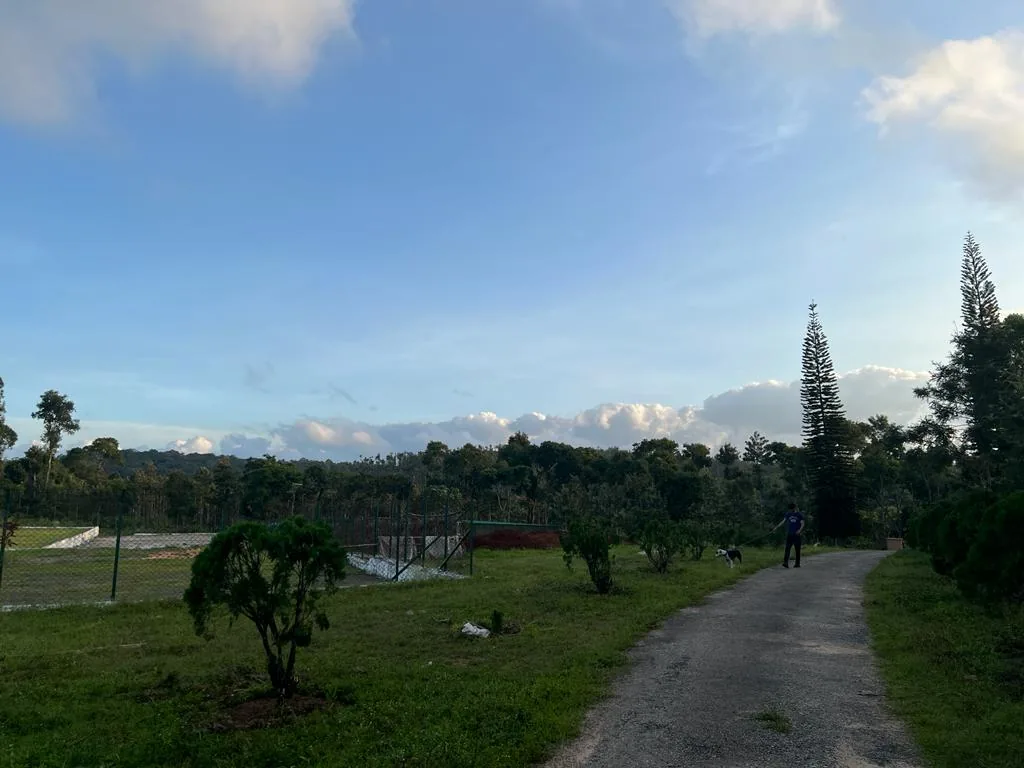 The land opening out under a wide sky at the edge of the estate