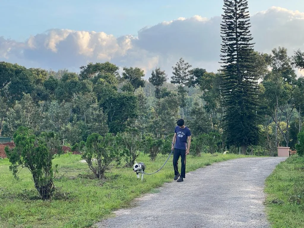 Someone walking the estate track with a dog trotting alongside